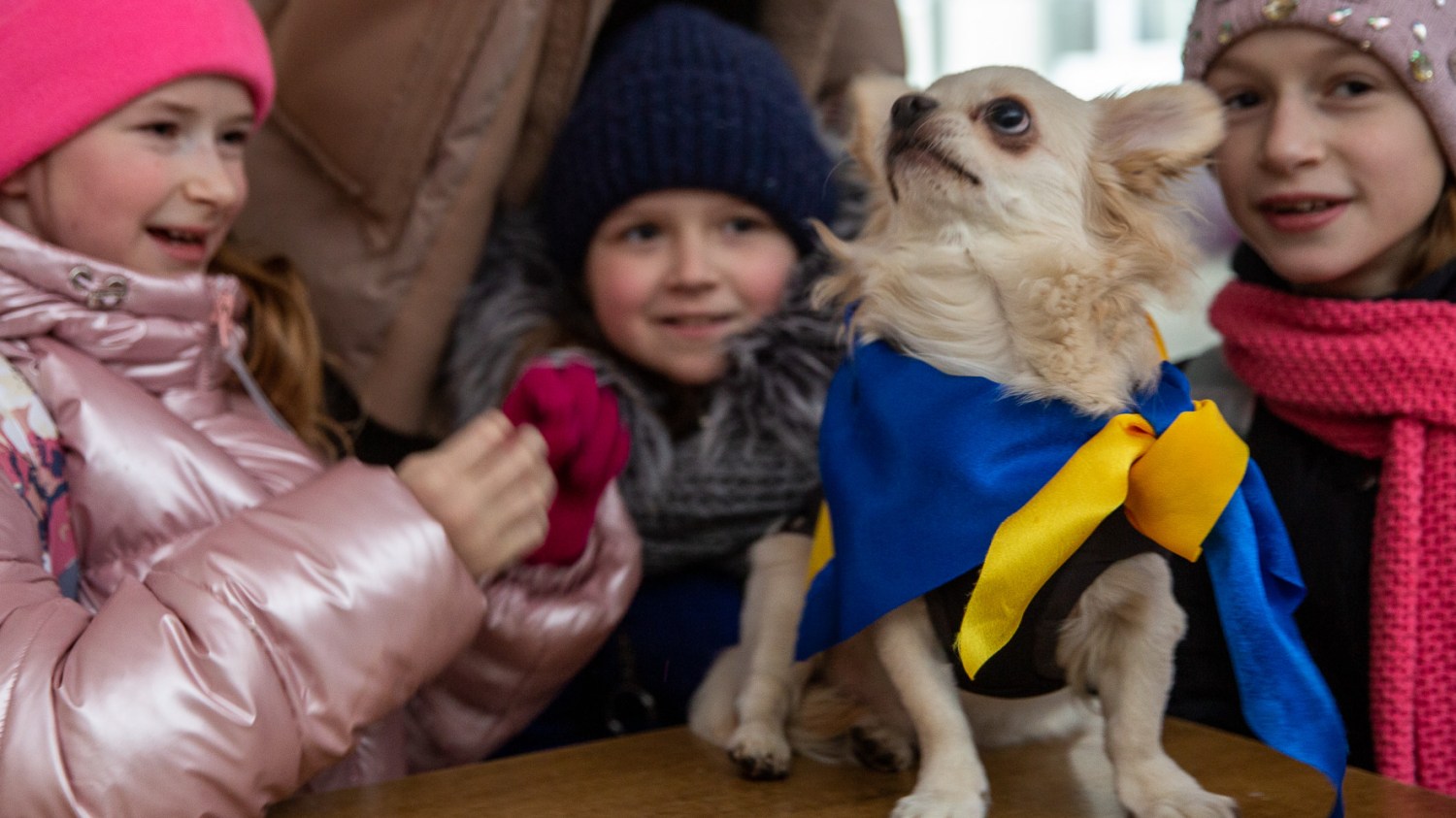 The woman and her chihuahua trying to heal the trauma of Ukraine’s war children